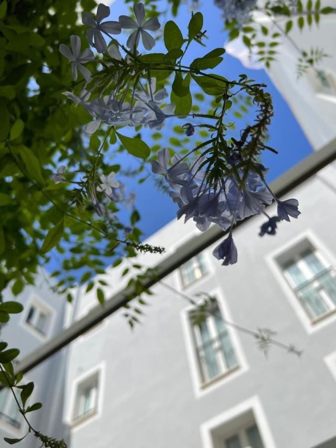 Hotel San Miguel Menorca Mahón Eksteriør bilde